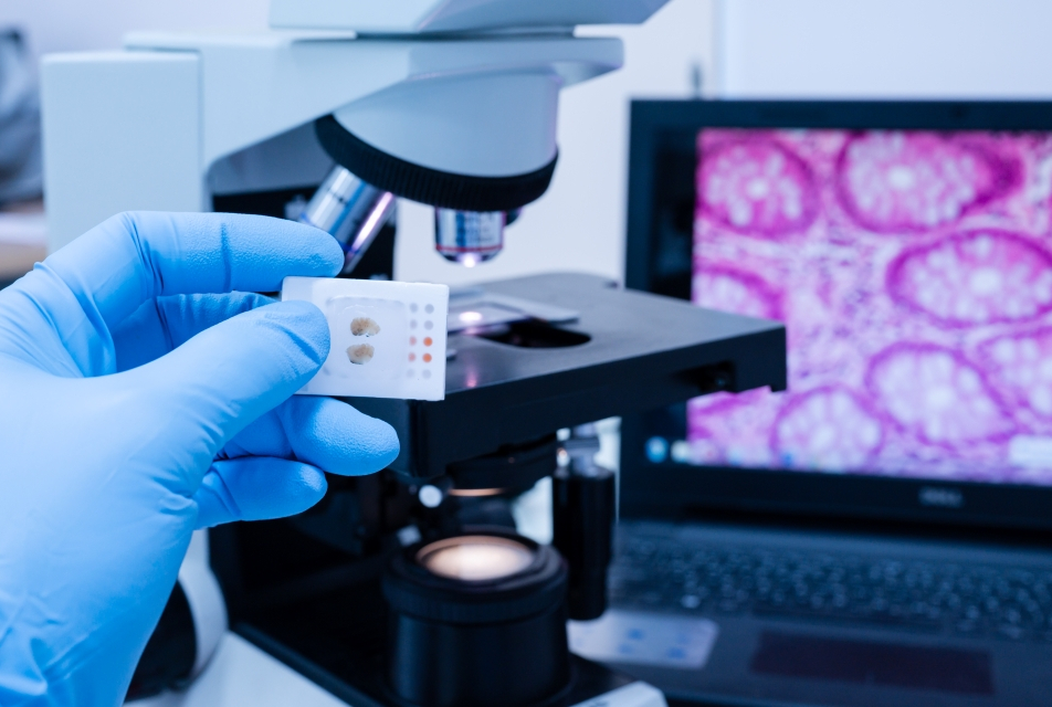 digital pathology