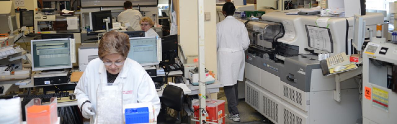 People working in a lab