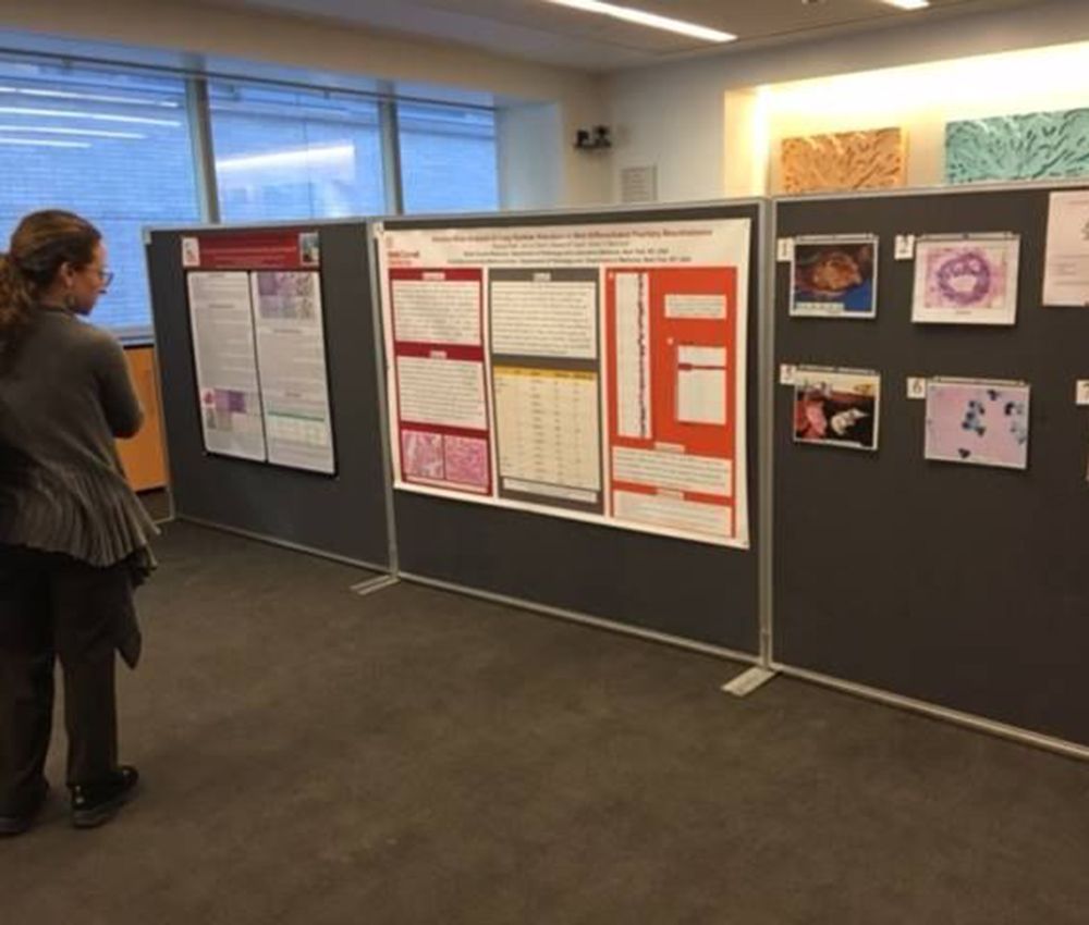 Residents and fellows displayed eight scientific posters.