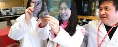 Laboratory of Stem Cell Aging and Cancer
