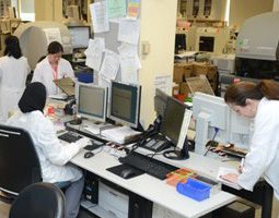 Scientists working in a lab